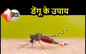 अगर आप भी हो गए हैं डेंगू का शिकार तो इन चीजों को करें अपने खान-पान में शामिल