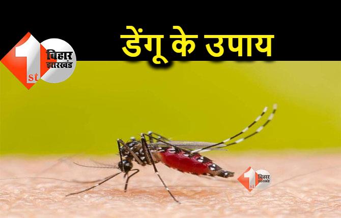 अगर आप भी हो गए हैं डेंगू का शिकार तो इन चीजों को करें अपने खान-पान में शामिल