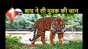 catagory