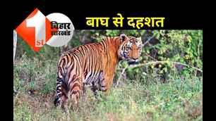 catagory