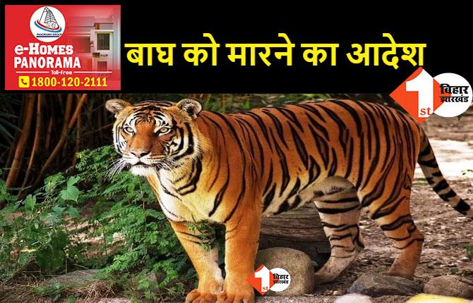 NTCA ने आदमखोर बाघ को देखते ही मारने का दिया आदेश, अबतक कई लोगों की ले चुका है जान