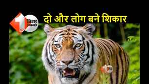 catagory