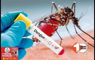 बिहार में डेंगू का कहर जारी: 14 हजार के पार पहुंचा आंकड़ा, अक्टूबर में सबसे अधिक मरीज