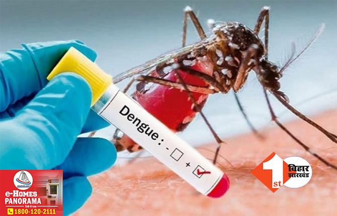 बिहार में डेंगू का कहर जारी: 13 हजार के पार पहुंचा आंकड़ा, पटना में मिले सबसे अधिक मरीज