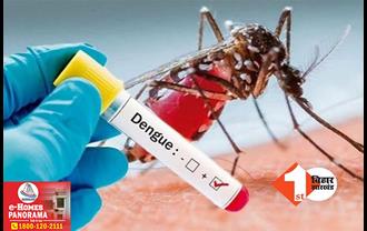बिहार में डेंगू का कहर जारी: 13 हजार के पार पहुंचा आंकड़ा, पटना में मिले सबसे अधिक मरीज
