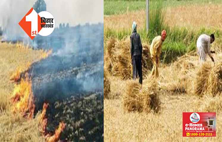 बढ़ते वायु प्रदूषण को लेकर सरकार की सख्ती, पराली जलाने वाले किसानों से नहीं होगी ख़रीददारी 