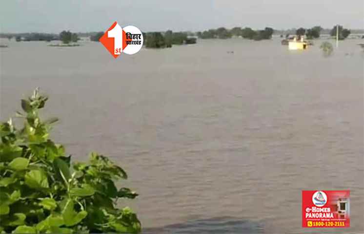 Bihar Flood: बाढ़ प्रभावित किसानों को मुआवजा देने का किया एलान, इस वेबसाइट पर करें ऑनलाइन आवेदन 