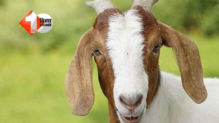 Bihar News
