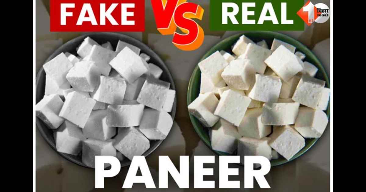 Artificial Paneer