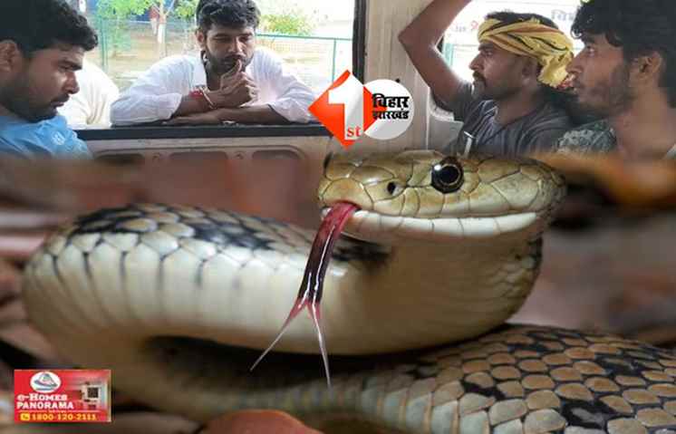 बिहार 