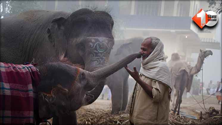 Bihar News