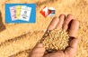 Ration card bihar 
