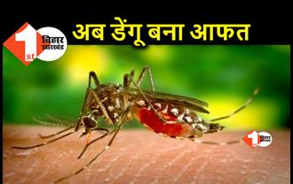 पटना में अब डेंगू का डंक, अचानक से बढ़े मामले.. सावधानी है जरूरी