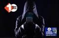 EOU की बड़ी कार्रवाई: STET एग्जाम पास कराने के नाम पर ठगी करने वाले 4 शातिर गिरफ्तार