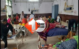 बिहार में डरा रहा डेंगू, 1700 के  पार पहुंची पॉजिटिव मरीजों की संख्या; हेल्पलाइन नंबर जारी 