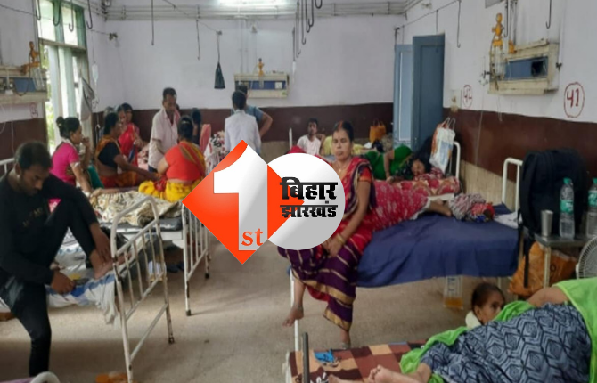 बिहार में नहीं थम रहा डेंगू का कहर, राजधानी में एक साथ मिले 50 मरीज; हड़ताल पर है निगमकर्मी