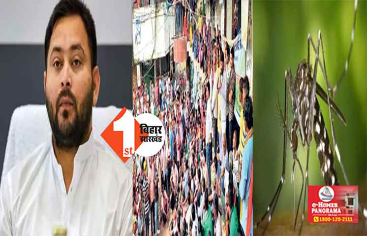 तेजस्वी को फ़िक्र नहीं ! राज्य में 3558 के पार पहुंची डेंगू मरीज की संख्या, राजधानी में हड़ताल पर निगमकर्मी 