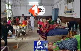 बिहार में नहीं थम रहा डेंगू का कहर: 24 घंटे में मिले 250 नए मरीज; अबतक 1582 संक्रमित