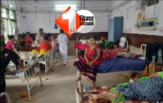 बिहार में डेंगू का कहर जारी, 24 घंटे के अंदर मिले 134 नए मरीज; पटना में सबसे अधिक संख्या 