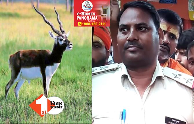 बिहार: काला हिरण शिकार मामले में थानेदार पर गिरी गाज, तस्करों से मिलीभगत के आरोप में SP ने किया सस्पेंड