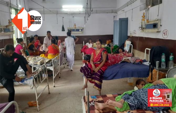 बिहार में जानलेवा हुआ डेंगू, भागलपुर में 1 की मौत; एक दिन में मिलें 300 से अधिक मरीज 