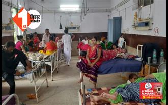 बिहार में जानलेवा हुआ डेंगू, भागलपुर में 1 की मौत; एक दिन में मिलें 300 से अधिक मरीज 