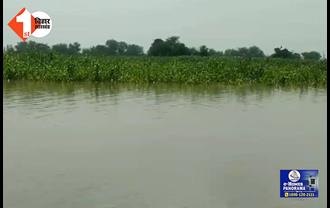 BIHAR FLOOD NEWS: खगड़िया में उफान पर कोसी और बागमती नदी, कई इलाकों में घुसा बाढ़ का पानी, सैकड़ों एकड़ में लगी फसलें नष्ट  