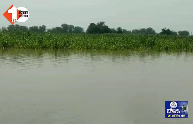 BIHAR FLOOD NEWS: खगड़िया में उफान पर कोसी और बागमती नदी, कई इलाकों में घुसा बाढ़ का पानी, सैकड़ों एकड़ में लगी फसलें नष्ट  