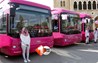 Pink Bus