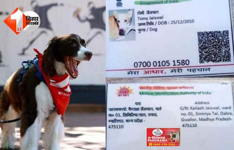 मध्य प्रदेश की खबर