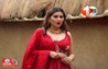 Sapna Chaudhary Success
