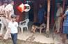 Bihar Crime News