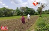 Bihar Land News