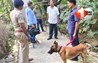 Bihar Crime News