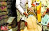 Bihar News
