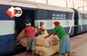Bihar Crime News