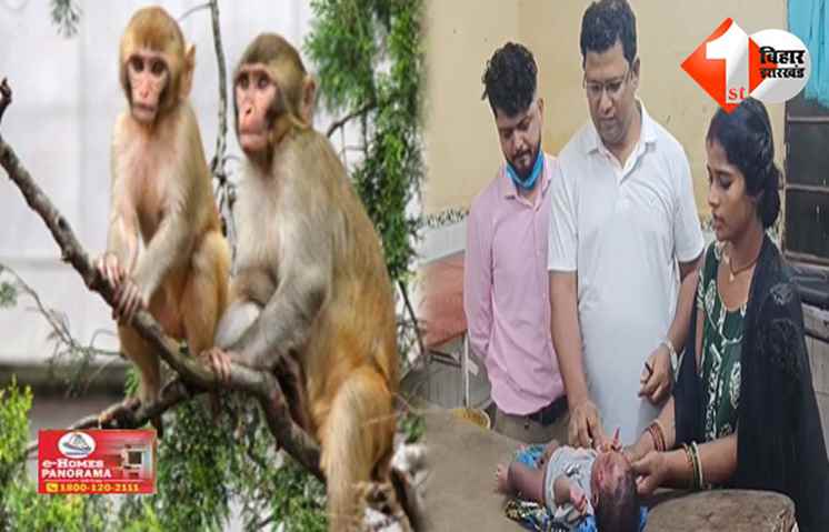 बिहार 