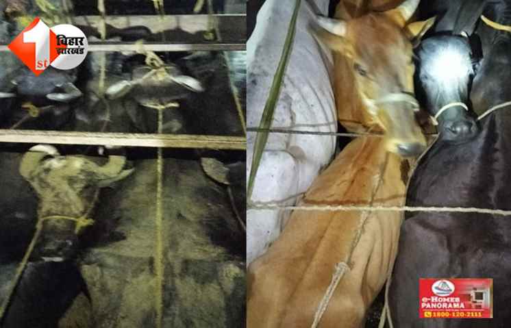 बिहार 