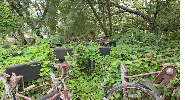 4 साल से गोदाम में जंग खा रही 23 ट्राई साइकिलें, फर्स्ट बिहार पर खबर चलने के बाद डीएम ने दिये जांच के आदेश 