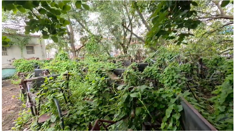 4 साल से गोदाम में जंग खा रही 23 ट्राई साइकिलें, फर्स्ट बिहार पर खबर चलने के बाद डीएम ने दिये जांच के आदेश 