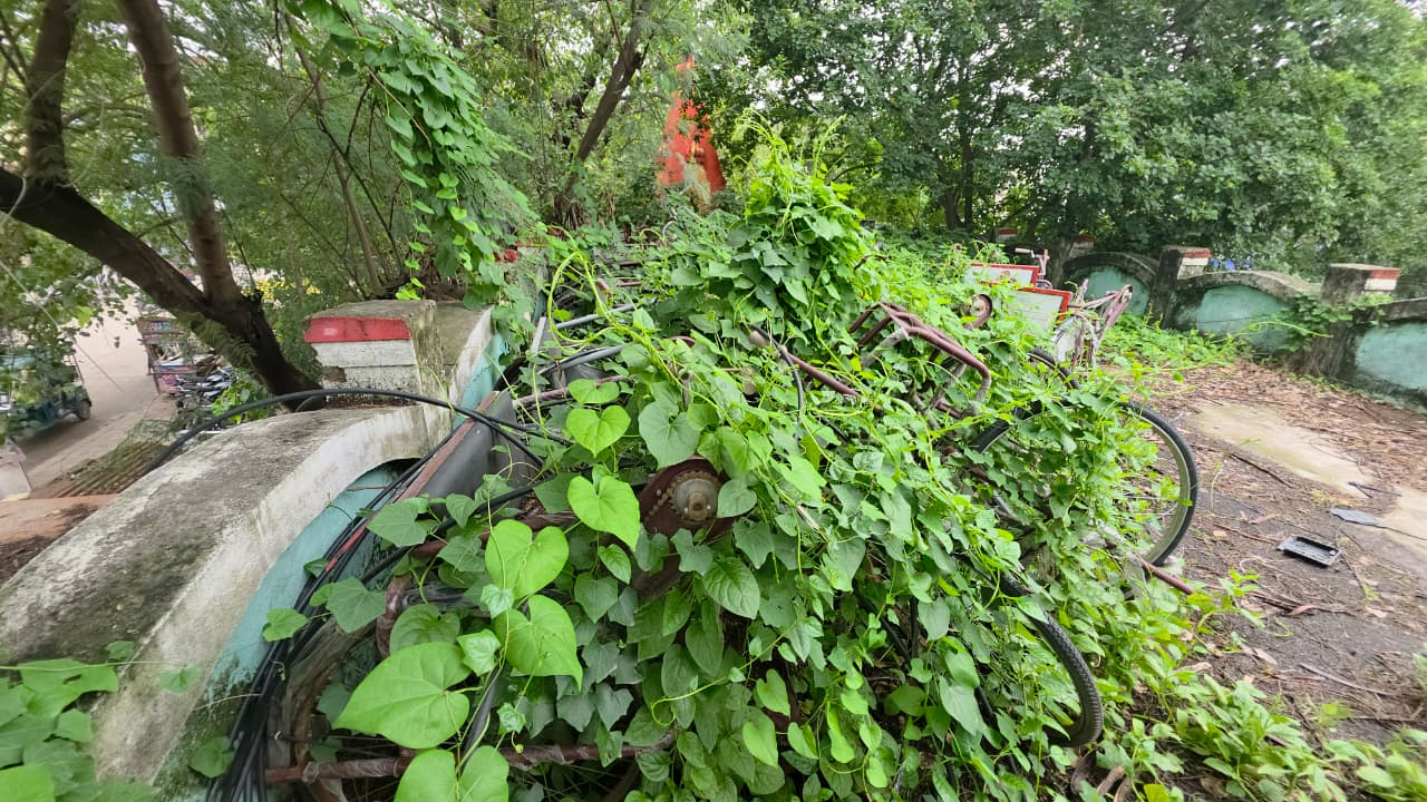 4 साल से गोदाम में जंग खा रही 23 ट्राई साइकिलें, फर्स्ट बिहार पर खबर चलने के बाद डीएम ने दिये जांच के आदेश 