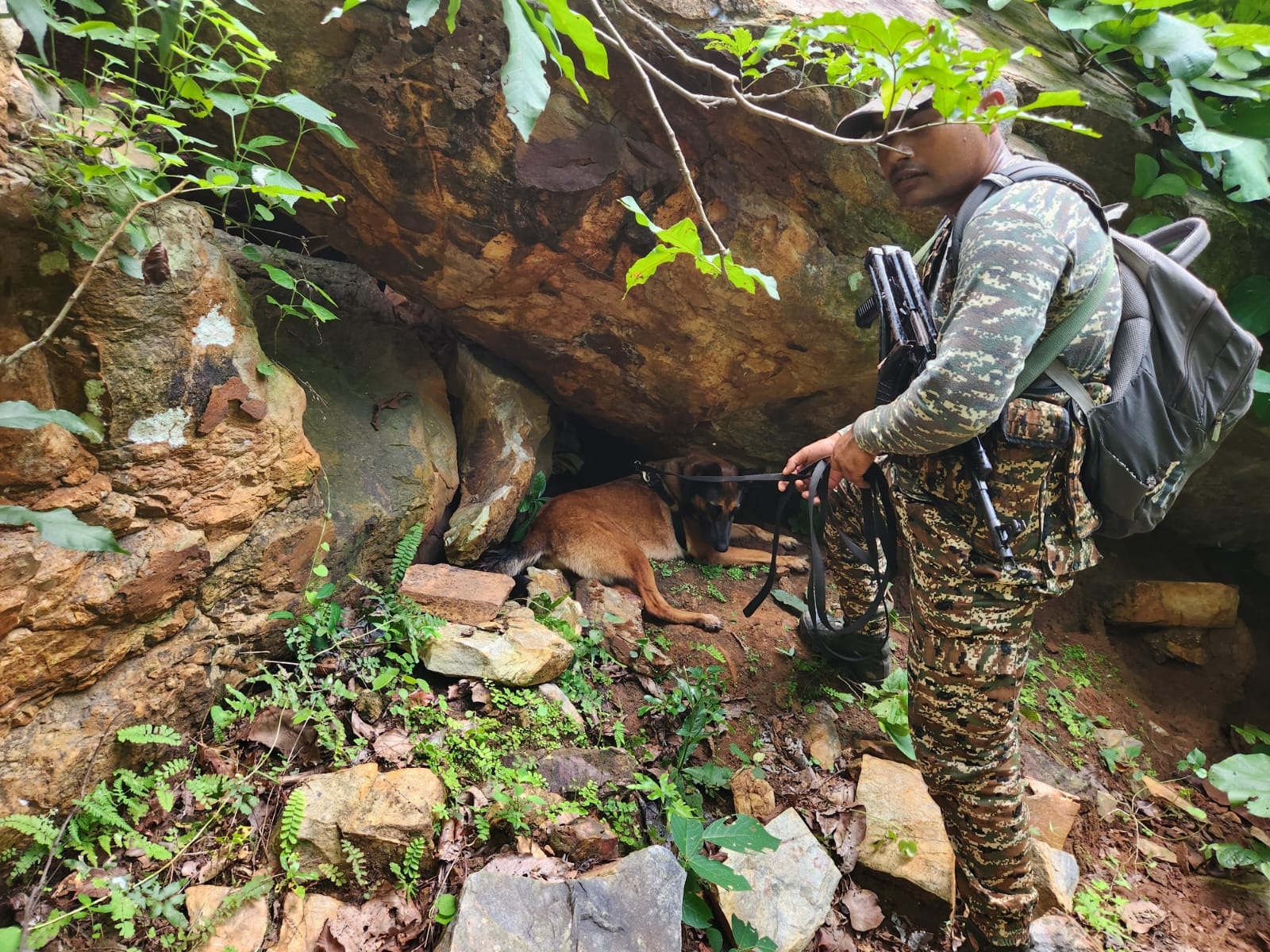 जमुई के चोरमारा जंगल में CRPF का सर्च ऑपरेशन, 2 देसी पिस्टल और 11 कारतूस बरामद