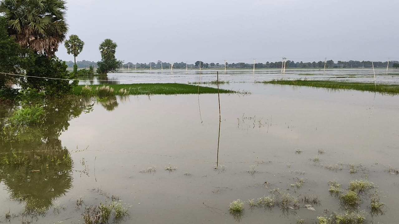जहानाबाद के बाढ़ प्रभावित इलाकों का DM ने किया ग्राउंड विजिट, ग्रामीणों की समस्याओं का लिया जायजा